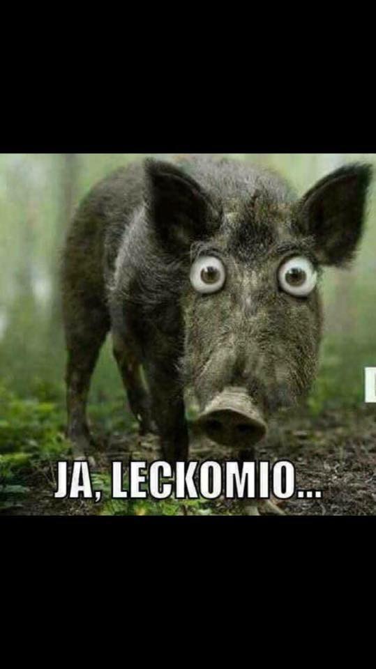 2018 QV-GDAXi-DJ-GOLD-EURUSD-JPY 1074227