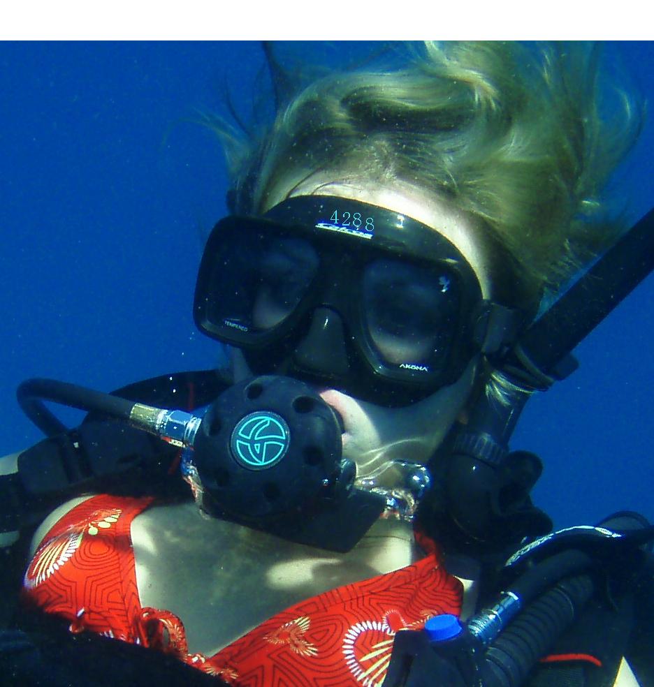 928.DAX Tipp-Spiel *Dienstag* 02.12.08, 17.45 Uhr 202858