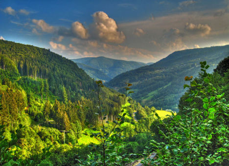 891.DAX Tipp-Spiel *Freitag* 10.10.08, 17.45 Uhr 191670