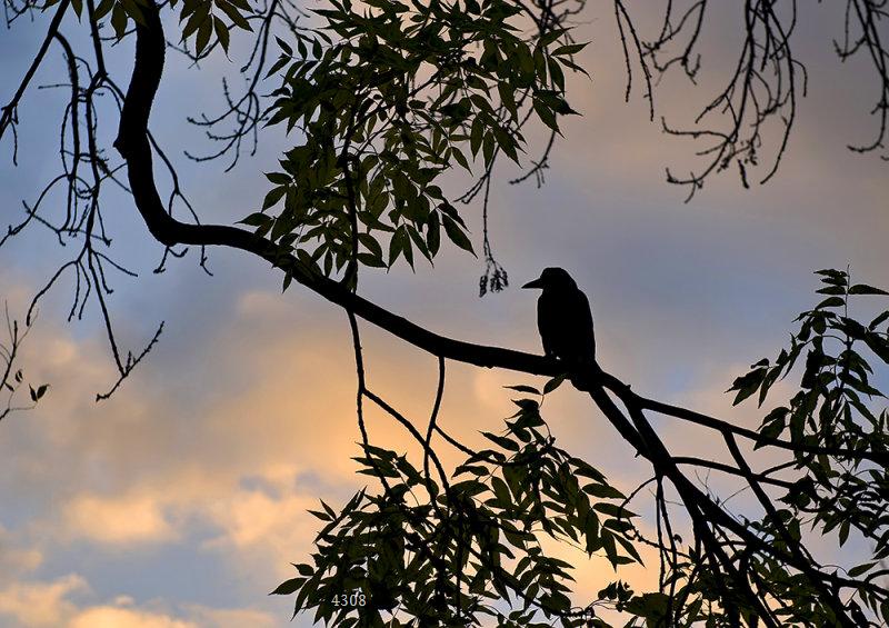 932.DAX Tipp-Spiel *Montag* 08.12.08, 17.45 Uhr 203854