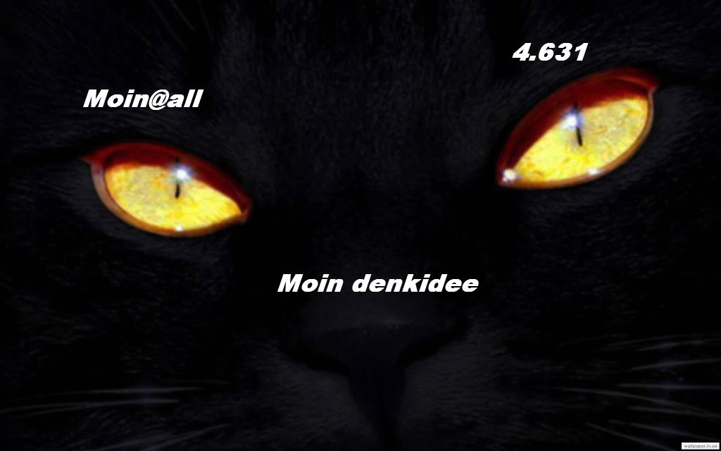 974.DAX Tipp-Spiel Mittwoch,11.02.09.17.45 Uhr 215796