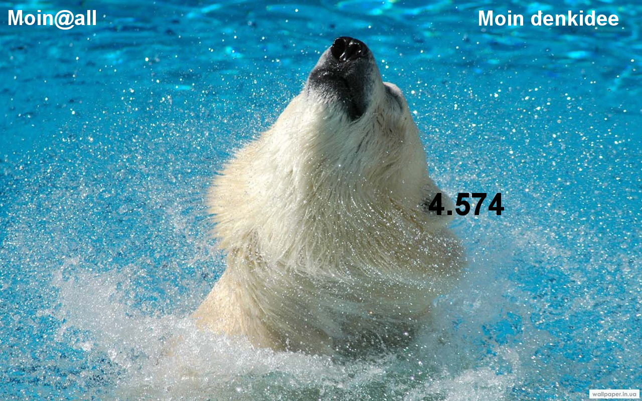 971.DAX Tipp-Spiel Freitag,06.02.09, 17.45 Uhr 214970