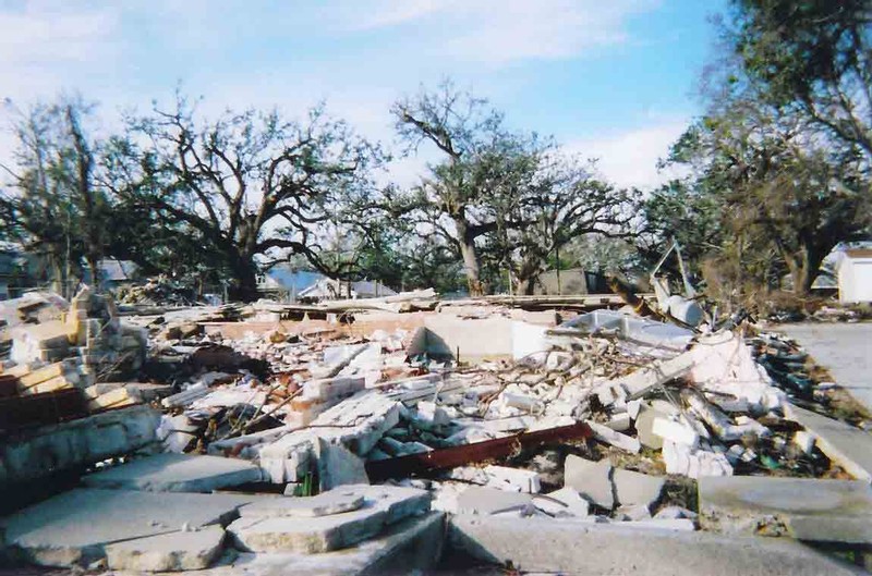 Der USA Bären-Thread 183418