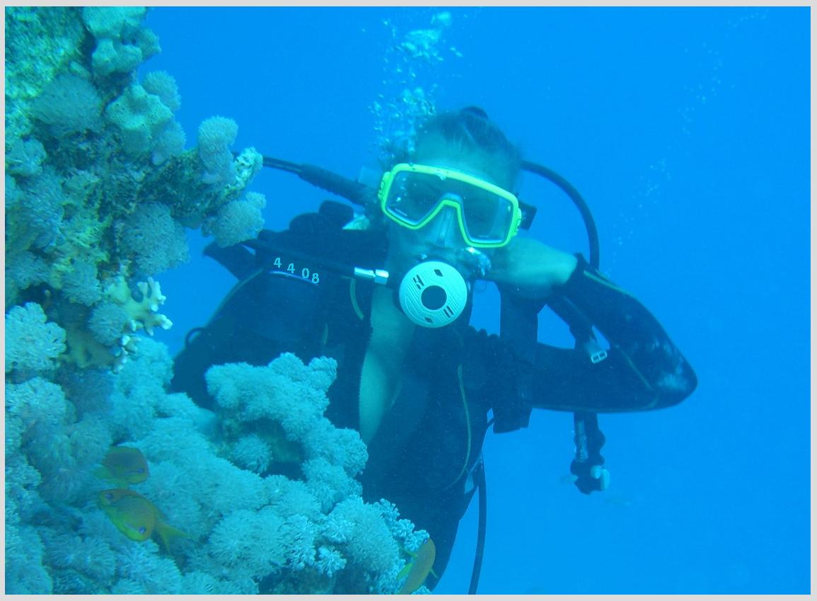 979.DAX Tipp-Spiel Mittwoch,18.02.09.17.45 Uhr 216822