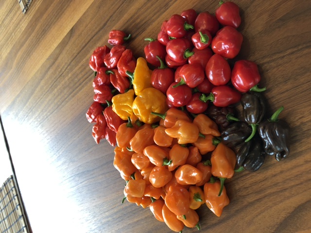 Daimler 2011 Daimler 2011 Daimler 2011 1212837