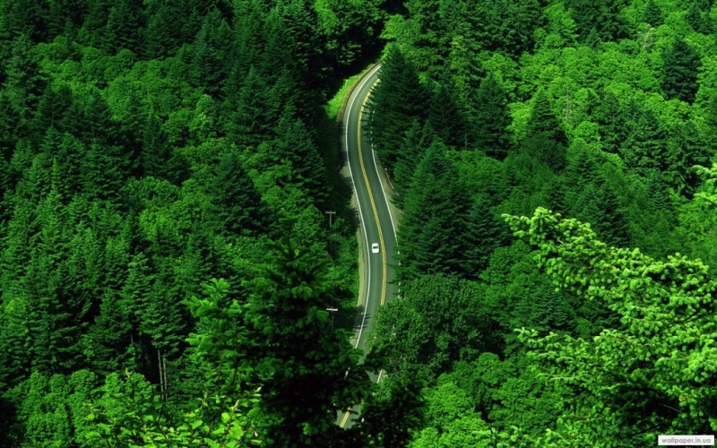 977.DAX Tipp-Spiel Montag,16.02.09.17.45 Uhr 216283