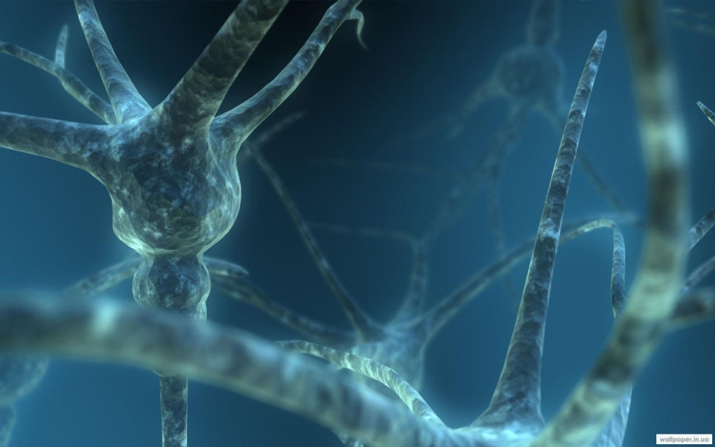 979.DAX Tipp-Spiel Mittwoch,18.02.09.17.45 Uhr 216809