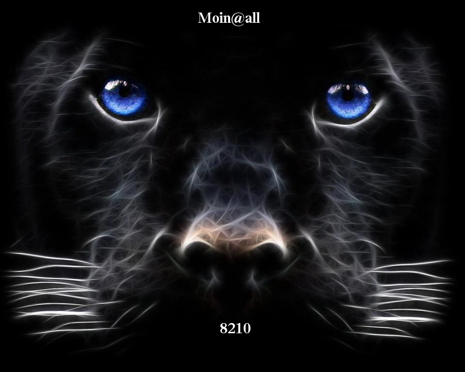 Die Links zu den Sternenkinder (DAX Spiel) 641148