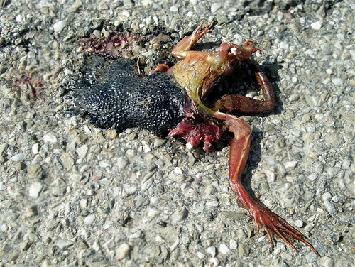 IVG Immobilien=5,447 Milliarden € Schulden 490330