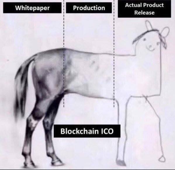 netcents, die neue online zahlungsplattform 1069341