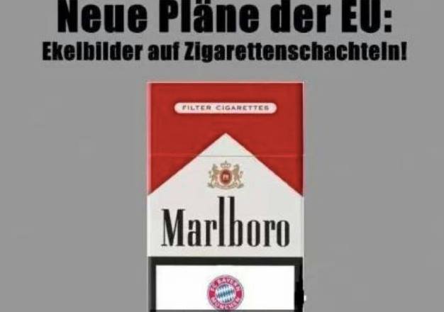 Der Weg weisst Richtung Champions-League 720078