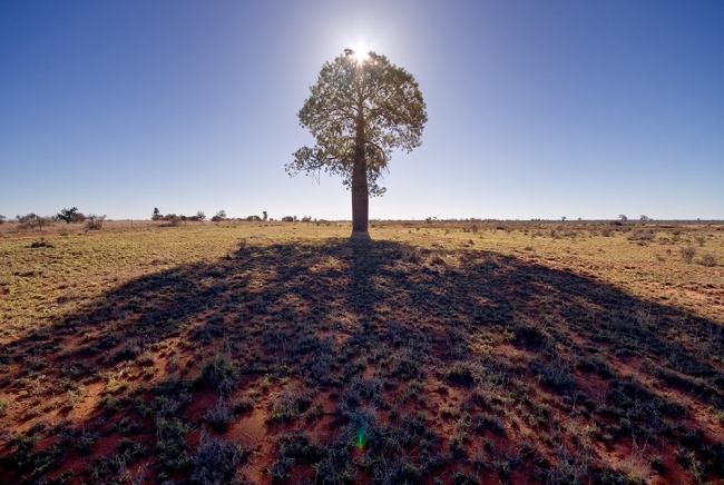 925.DAX Tipp-Spiel *Do* 27.11.08, 17.45 Uhr 202074