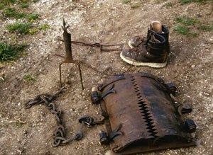 Der USA Bären-Thread 131713