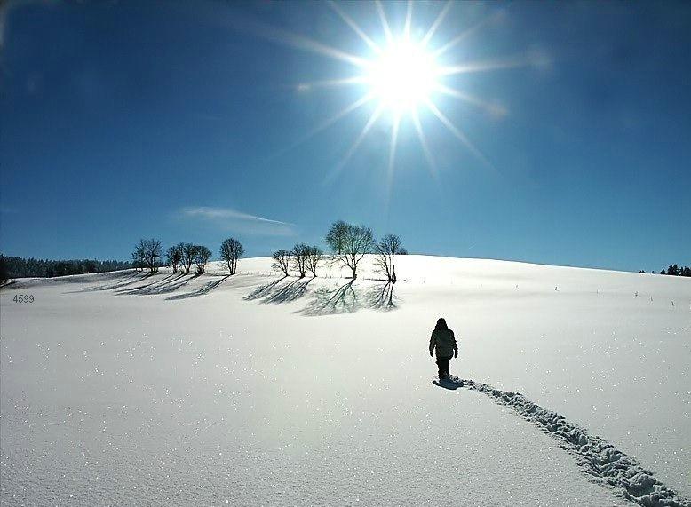 939.DAX Tipp-Spiel *Mittwoch* 17.12.08, 17.45 Uhr 205841