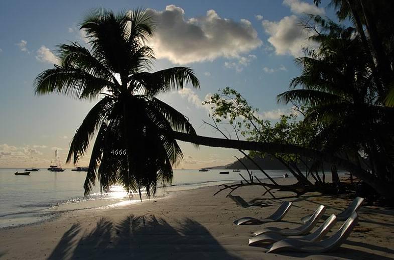 926.DAX Tipp-Spiel *Freitag* 28.11.08, 17.45 Uhr 202260