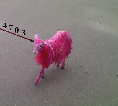 930.DAX Tipp-Spiel *Do* 04.12.08, 17.45 Uhr 203314