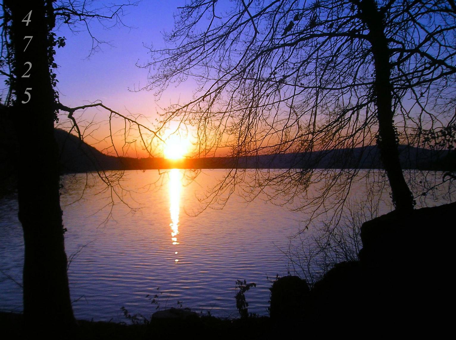 Die Links zu den Sternenkinder (DAX Spiel) 242595