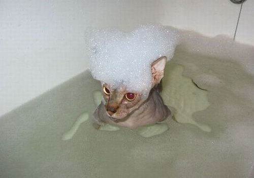 SPEX - Biotech vor charttechn. Turnaroundstory? 777164