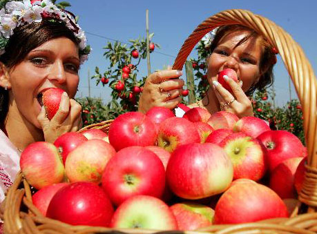 937.DAX Tipp-Spiel *Montag* 15.12.08, 17.45 Uhr 205456