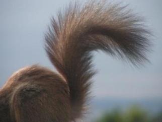 DAX 2014 strong long! Spiel mit offenen Karten! 679694