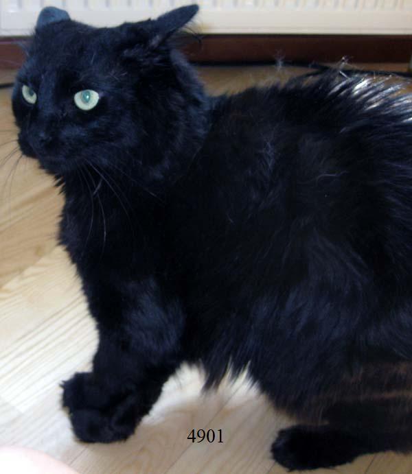 894.DAX Tipp-Spiel *Mittwoch* 15.10.08, 17.45 Uhr 192732