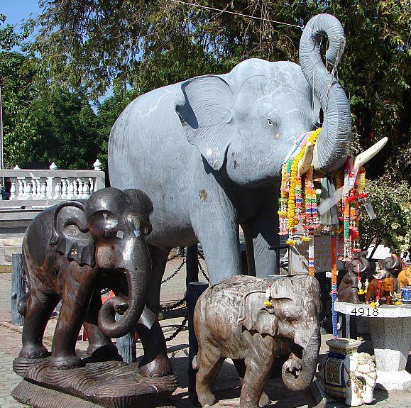 Die Links zu den Sternenkinder (DAX Spiel) 196378