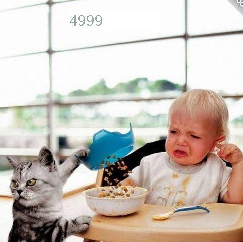 1038.DAX-Tipp-Spiel, Freitag 15.05.09 232925