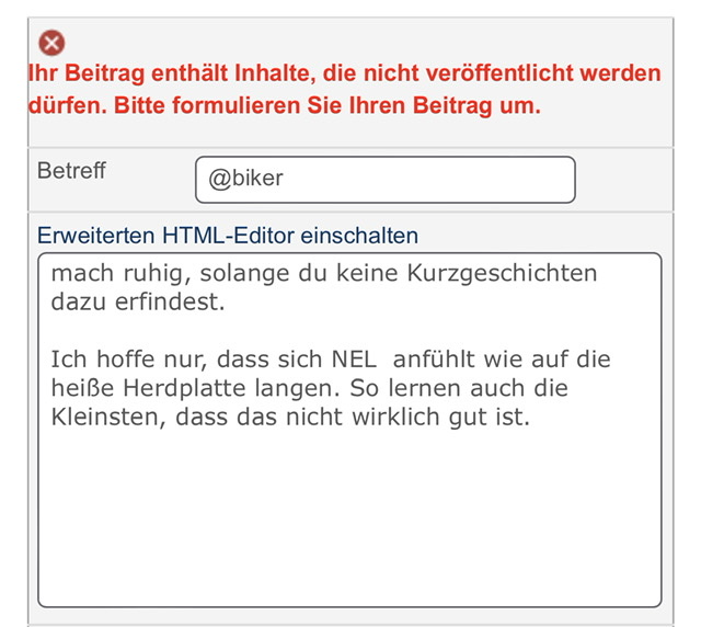 NEL, der Wasserstoffplayer aus Norwegen 1280099