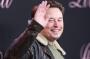 SpaceX Trader 1523615