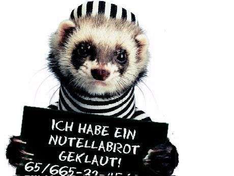 Billige VOGELGRIPPE Aktie ! 30716