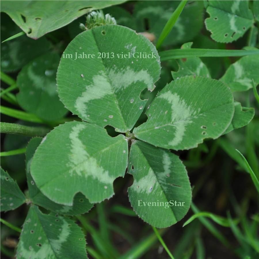 Wie lautet das Jahreshoch 2013 561193