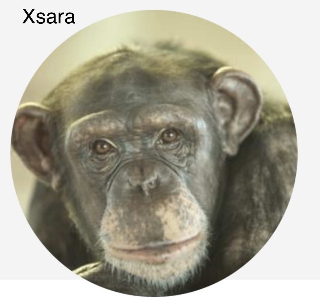 AMC Entertainment Holdings 2.0 - Todamoon?!? 1330840