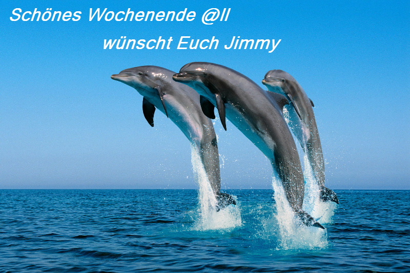 802.DAX Tipp-Spiel, Montag, 09.06.08, 17:45 Uhr 167669