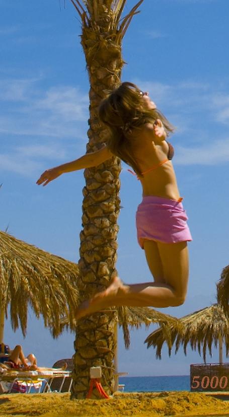 1031.DAX-Tipp-Spiel, Mittwoch 06.05.09 231095