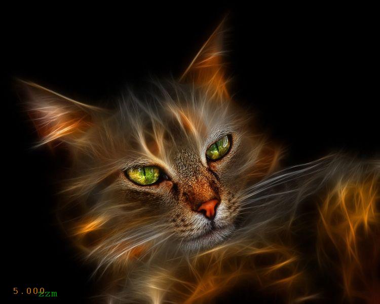 1049.DAX-Tipp-Spiel, Montag 01.06.09 235765