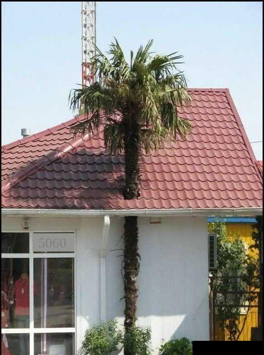 Die Links zu den Sternenkinder (DAX Spiel) 236293