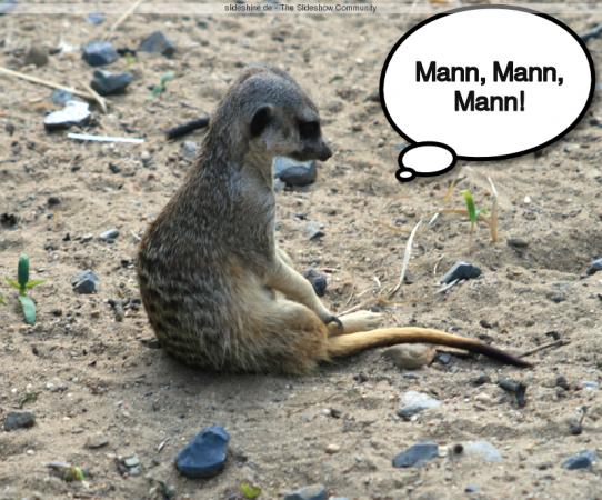 Conergy, Pro und Contra... 451032