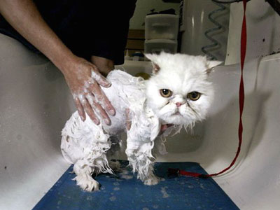 Börse, Dax, Dow und Co. 147579