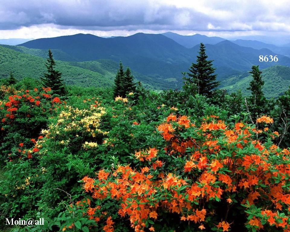 2.158.DAX Tipp-Spiel, Dienstag, 01.10.2013 649633