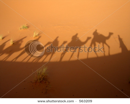 Hat Qimonda ein Chance wieder aufzustehen? 230416