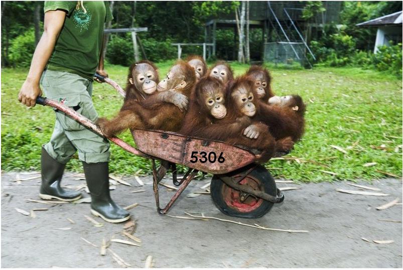 891.DAX Tipp-Spiel *Freitag* 10.10.08, 17.45 Uhr 191360