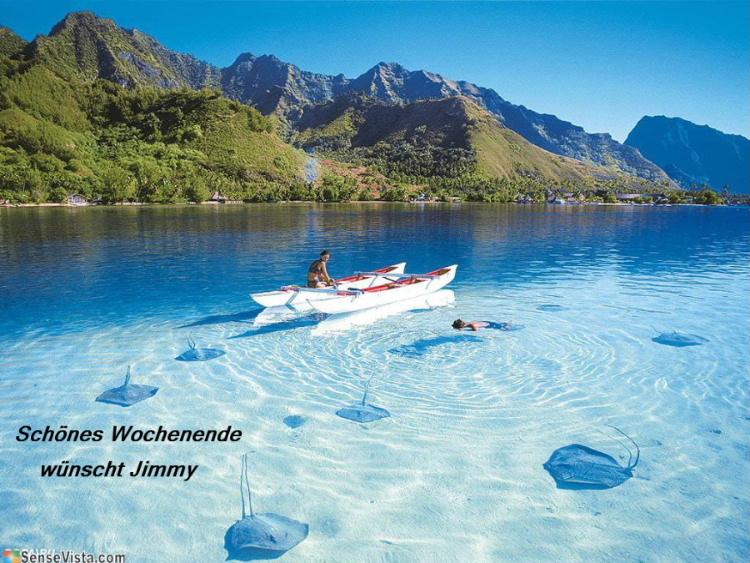 734.DAX Tipp-Spiel, Freitag, 29.02.08 151493