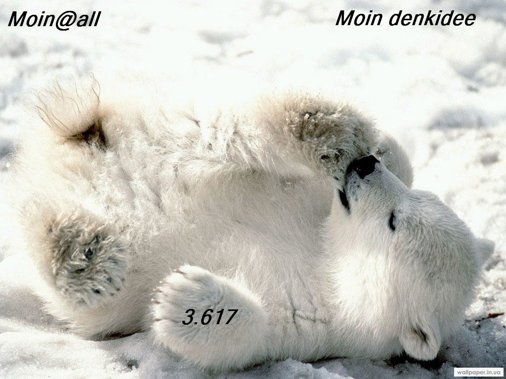 993.DAX Tipp-Spiel Dienstag,10.03.09.17.45 Uhr 220984