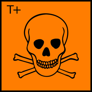 Die Welt und WMIH... 1175096