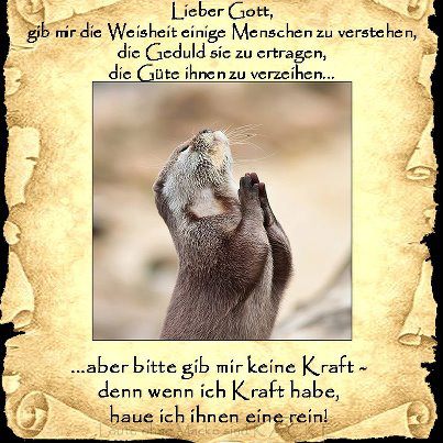 Gigaset ab 2011 - Informativ und immer am Ball .. 516862