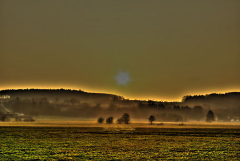 905.DAX Tipp-Spiel *Do* 30.10.08, 17.45 Uhr 196100