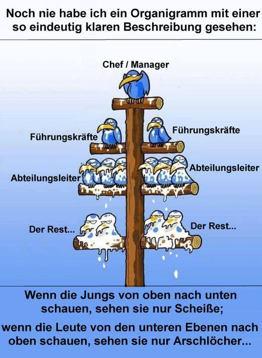 Der USA Bären-Thread 1337018