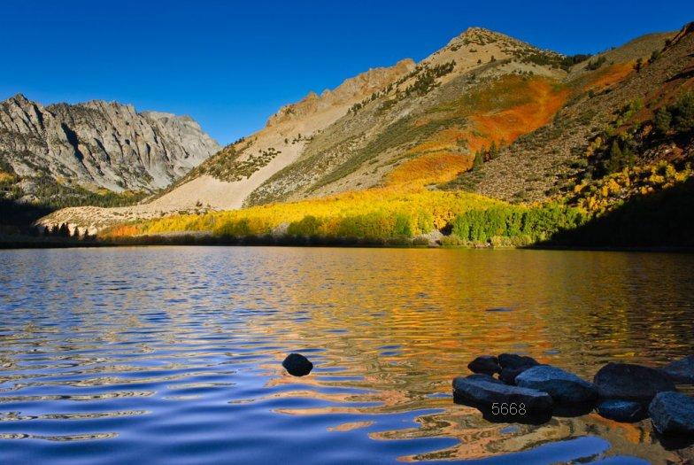 1.166.DAX Tipp-Spiel, Mittwoch, 11.11.09 273954