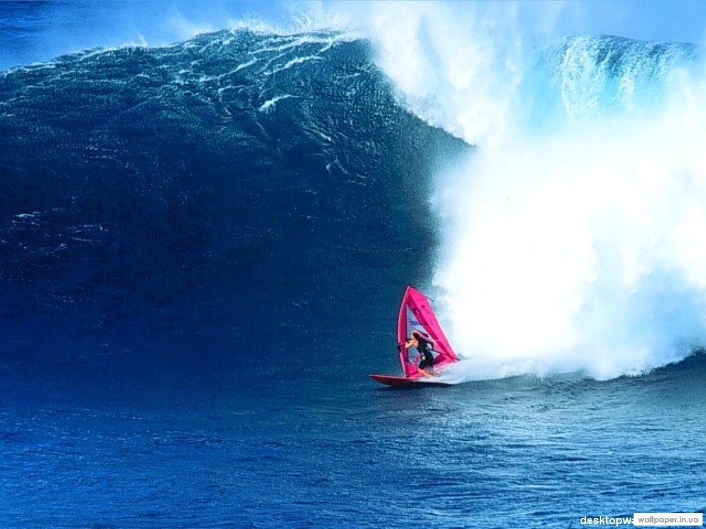 971.DAX Tipp-Spiel Freitag,06.02.09, 17.45 Uhr 214863