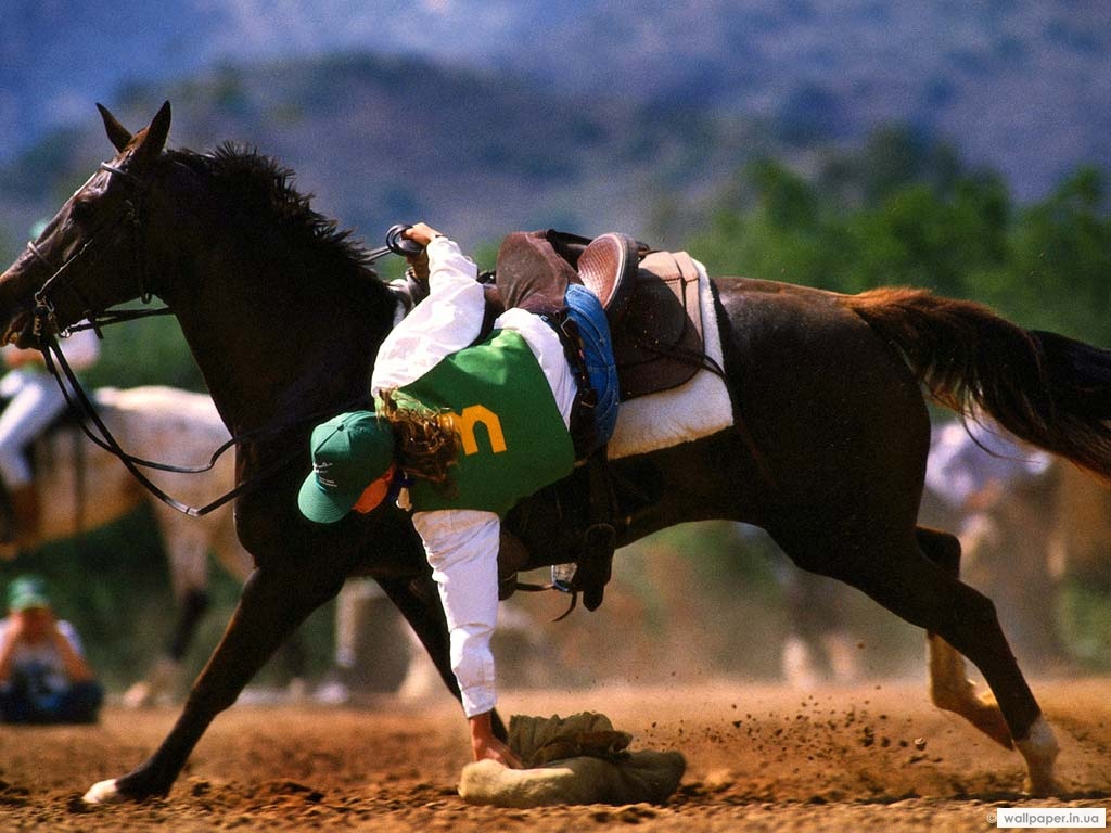 981.DAX Tipp-Spiel Freitag,20.02.09.17.45 Uhr 217591